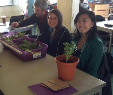 Some of the URI Honors class agricultural projects